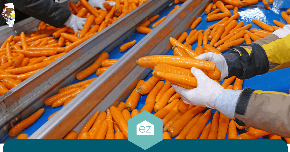 Workers processing produce in an Illinois agricultural facility