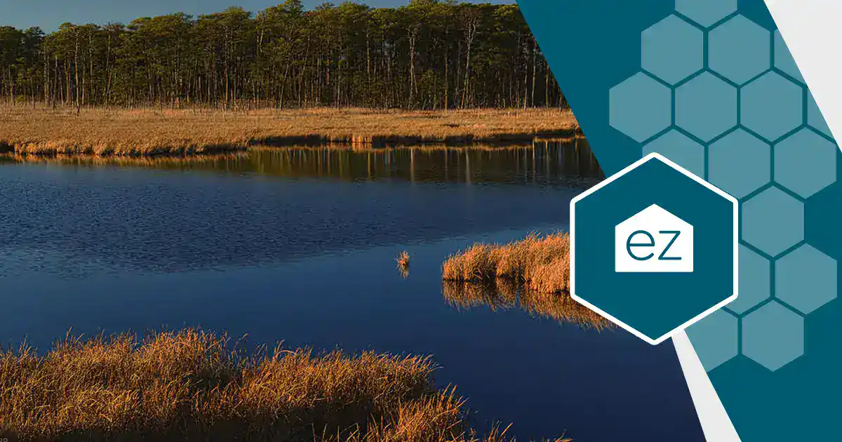 Tidal marsh and grasslands near Easton on Maryland's Eastern Shore