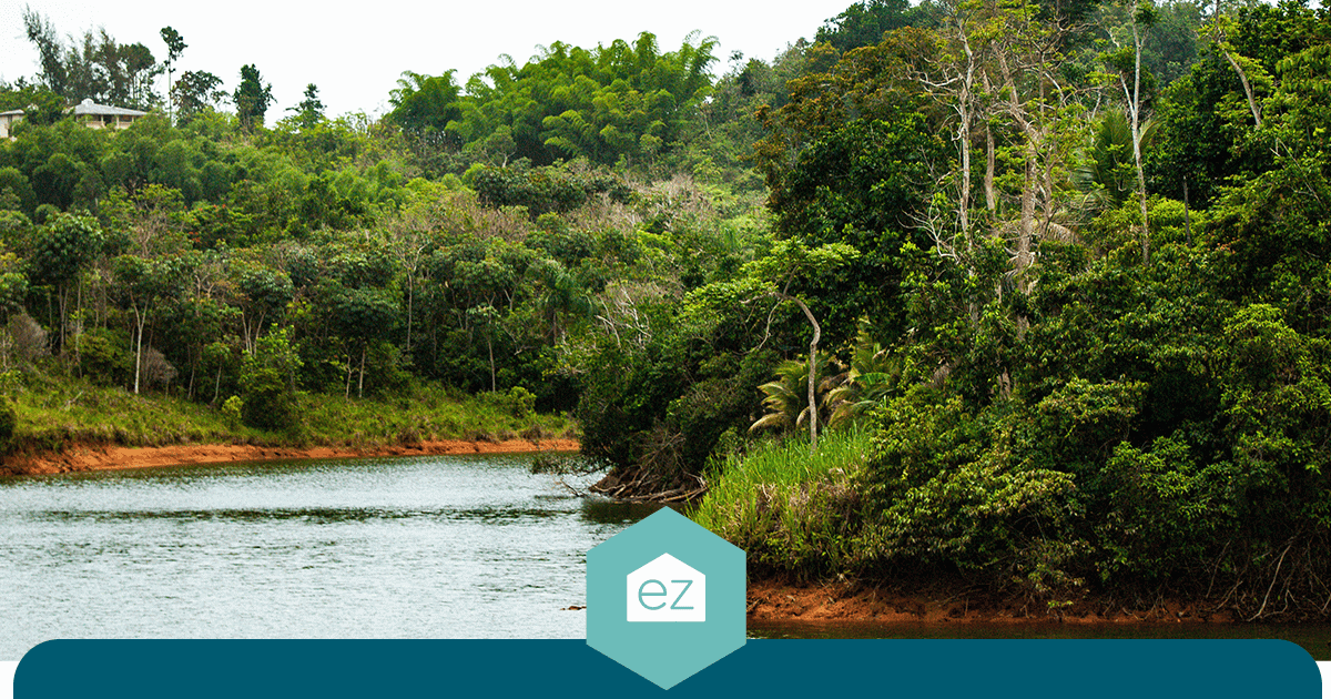 A river curving through dense forest near Cidra, Puerto Rico, with a house on the hillside above it