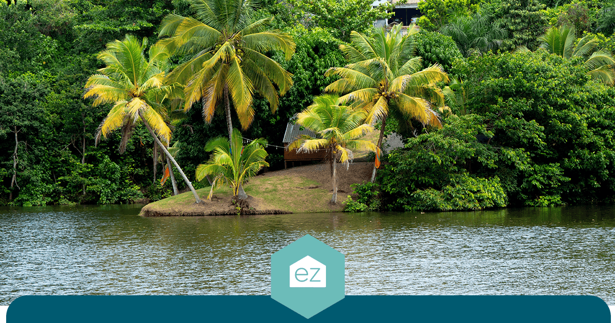 Palm trees on a narrow grassy point surrounded by water in Puerto Rico