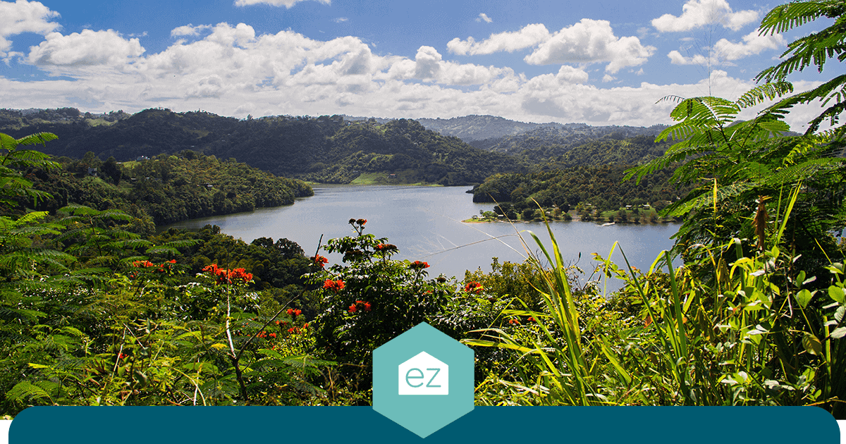 A large Puerto Rico lake ringed by dense green vegetation