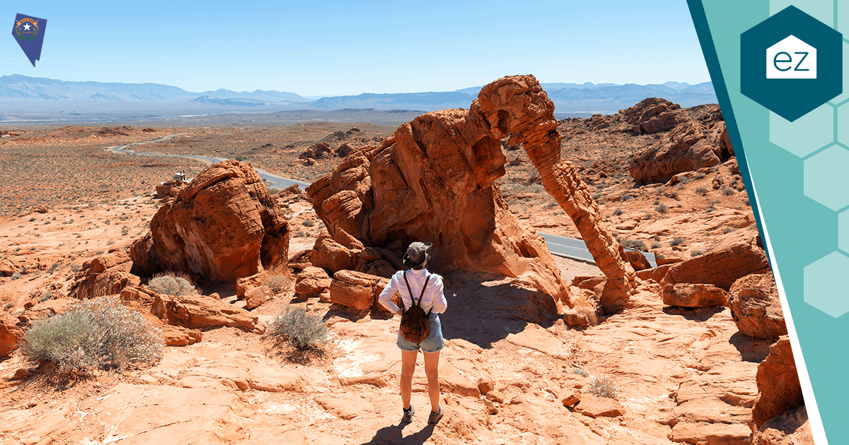 Elephant Rock at Valley of Fire State Park, Nevada
