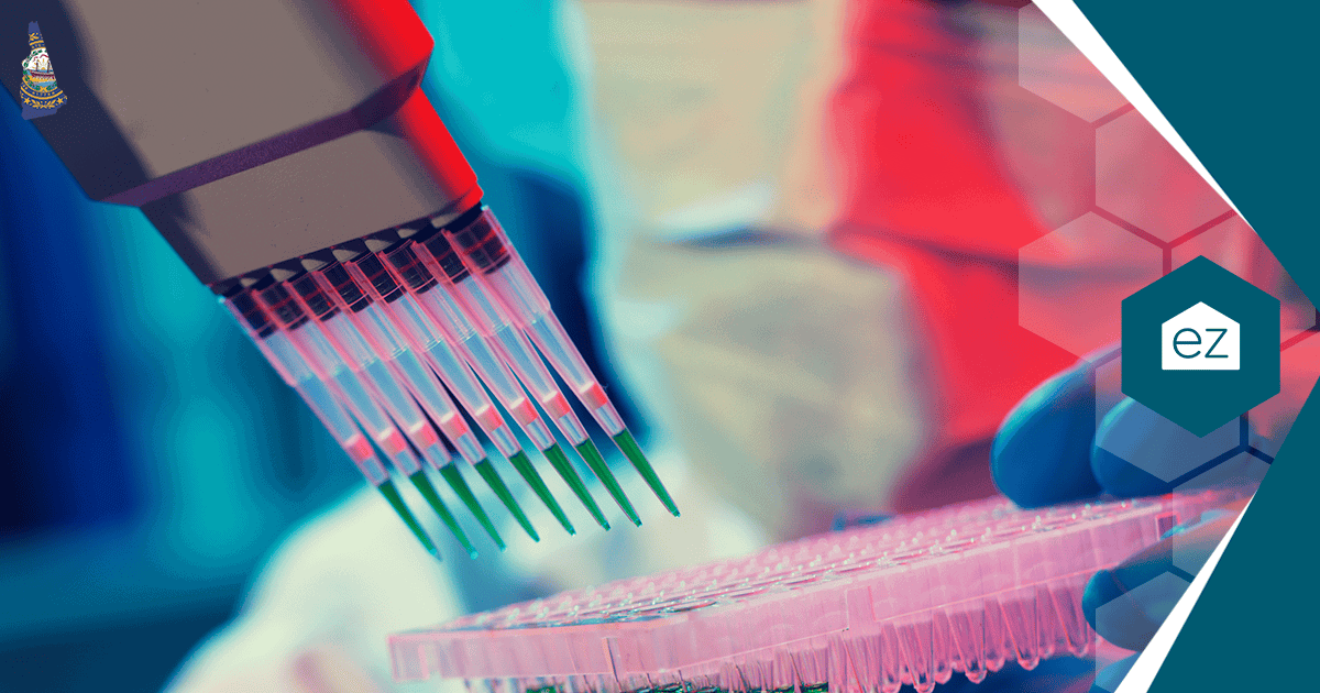 Researcher pipetting samples in a New Hampshire biotech lab in the Manchester and Nashua ReGen Valley cluster