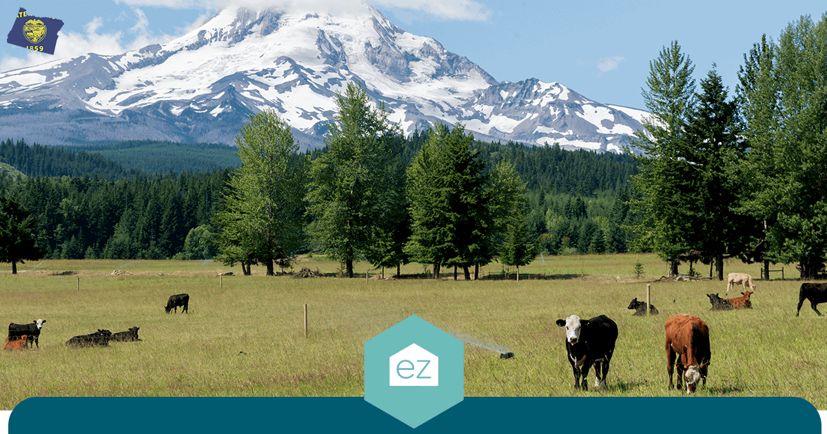 Cattle grazing in a green Oregon pasture with Mount Hood in the distance