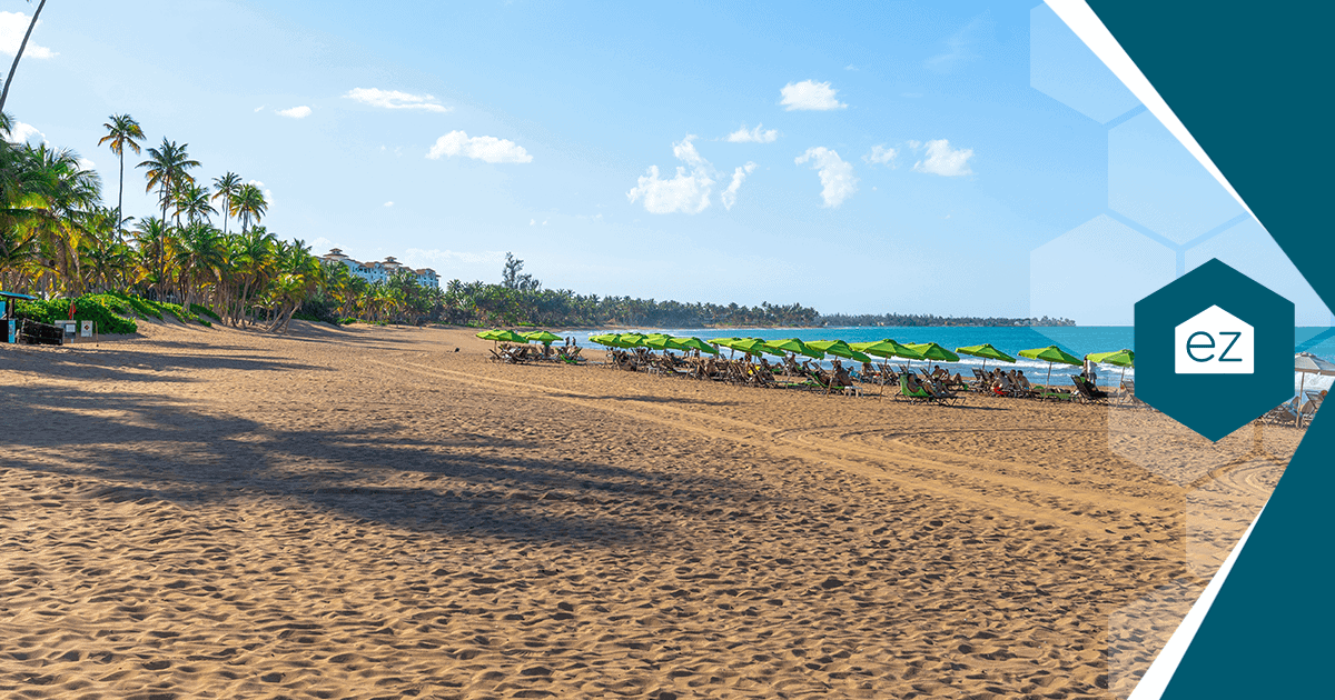 Umbrellas and lounge chairs on a palm-lined Puerto Rico beach in the Porta del Sol region