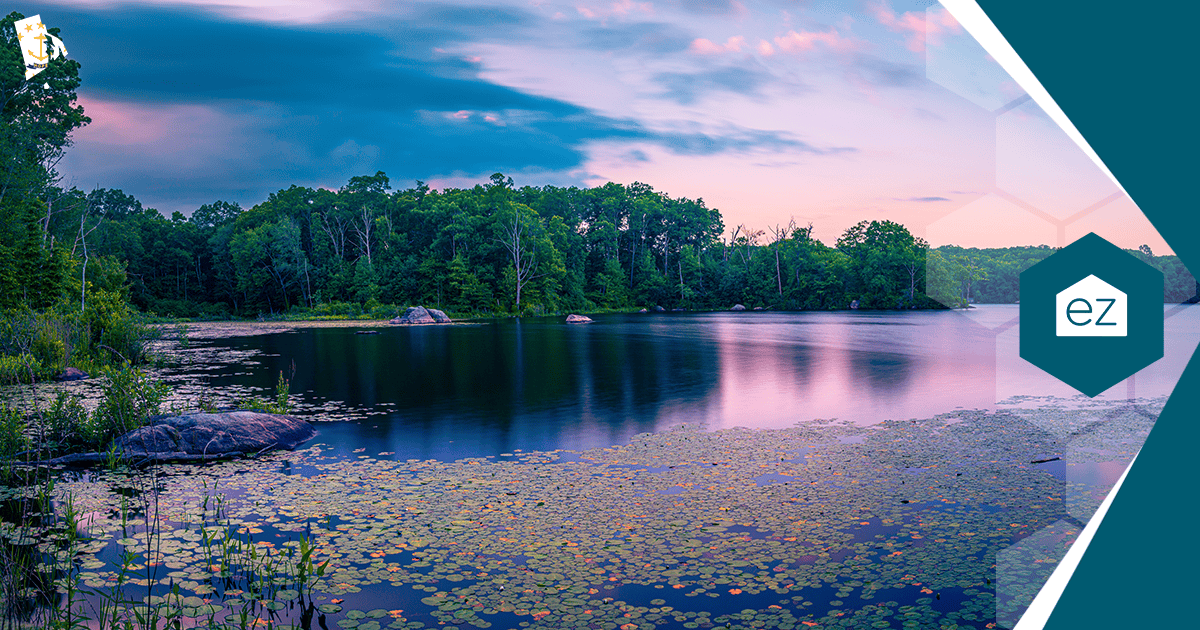 A calm Rhode Island lake with lily pads and surrounding trees at sunset