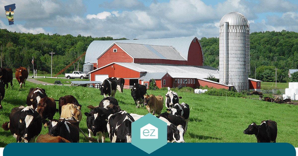Black and white dairy cows grazing in front of a red Vermont barn and silver silo